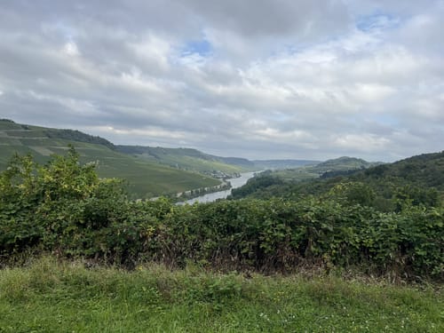 Moselsteig Etappe 2: Palzem - Nittel