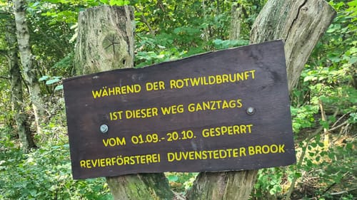 Hansdorfer Brook und Duvenstedter Brook