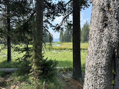 Photos of Delacy Creek Trail to Shoshone Lake Montana AllTrails