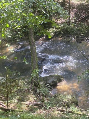 Gunthersteig Etappe 1: Niederalteich - Lalling