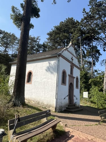 Moselsteig Etappe 3: Nittel - Konz