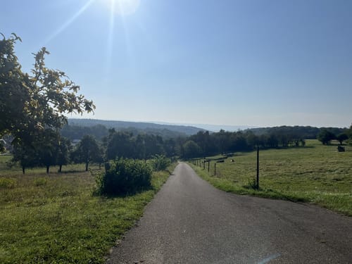 Moselsteig Etappe 4: Konz - Trier
