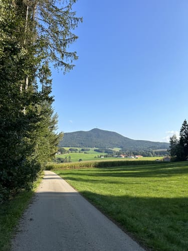 Rund um Grub - Wöhrmühle - Blasihof