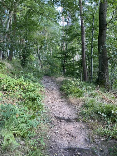 Oberlimberg Runde