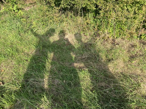 Oberlimberg Runde