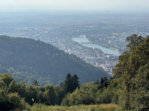 GELITA Trail Marathon - Himmelsleiter Trail 2018