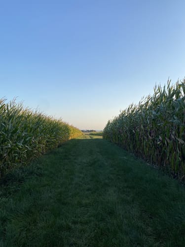 Auf dem Thalfinger Quellenweg durch den Großen Forst