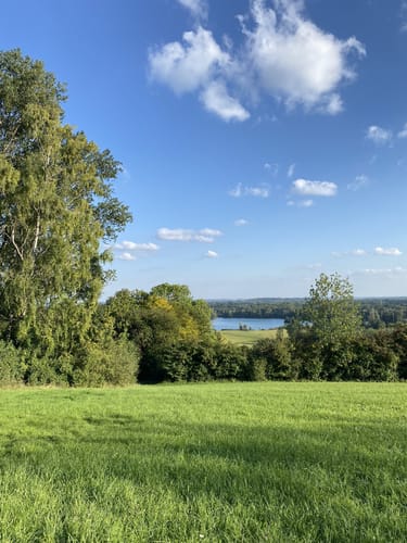 Auf dem Thalfinger Quellenweg durch den Großen Forst
