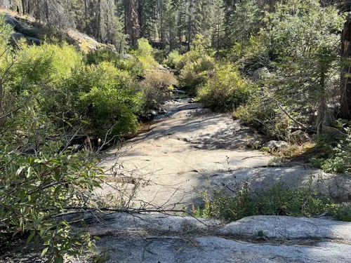 Cabin Creek, California - 5 Reviews, Map | AllTrails