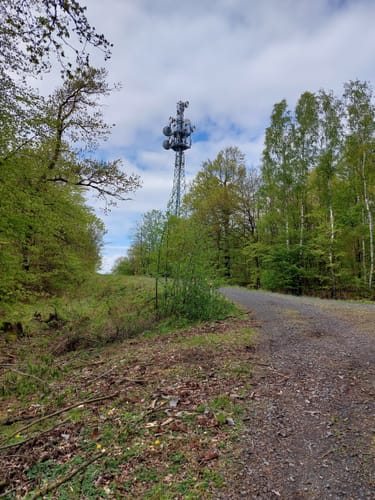 Im Markwald über Windrad 6 und Falkenkopf