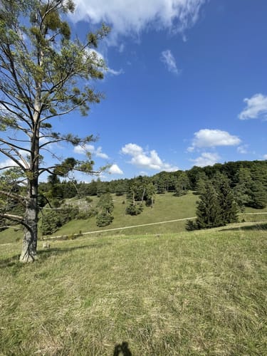 Altmühltal Rundweg Nr. 2