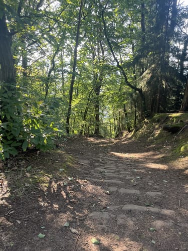Moselsteig Etappe 5: Trier - Schweich