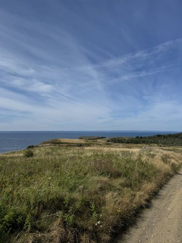 Winter Stroll, Bell Island, Newfoundland (11 x 14 retailer inch print)