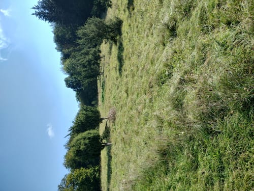 Eco Pfad Muschelkalk Diemeltal