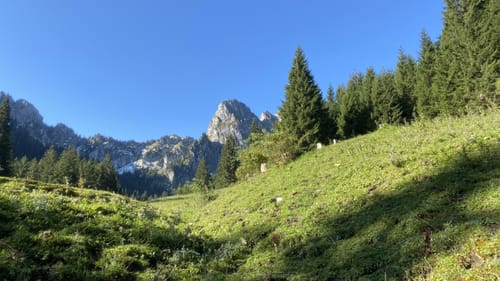 Ostlerhütte und Reichenbachklamm