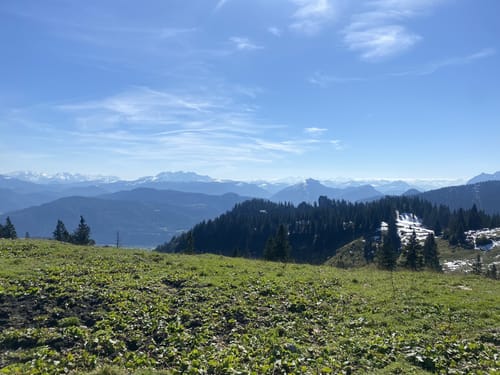 Hainbach  - Sonnen-Alm - Hofbauernalm