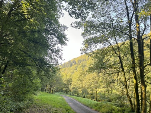 Rundwanderweg Ziegelhausen 1: Münchel-Weg