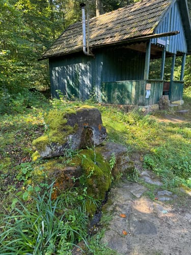 Katzenbach Stausee - Weißer Steinbruch - Burgruine Blankenburg