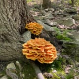 Breakneck Ridge, Breakneck Bypass, Wilkinson Trail Loop, New York ...