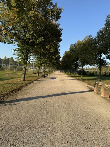 Im Volkspark Niddatal