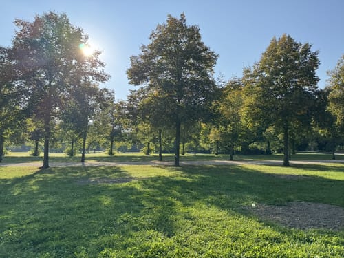 Im Volkspark Niddatal
