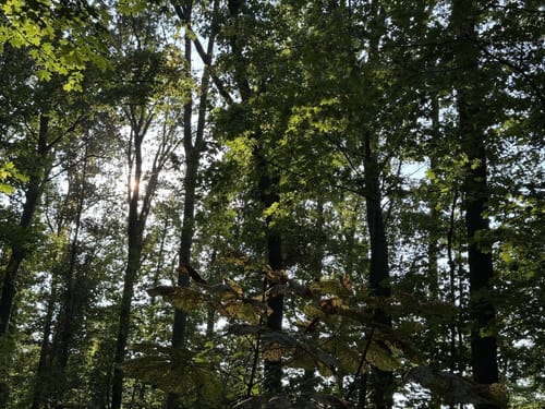 Im Volkspark Niddatal