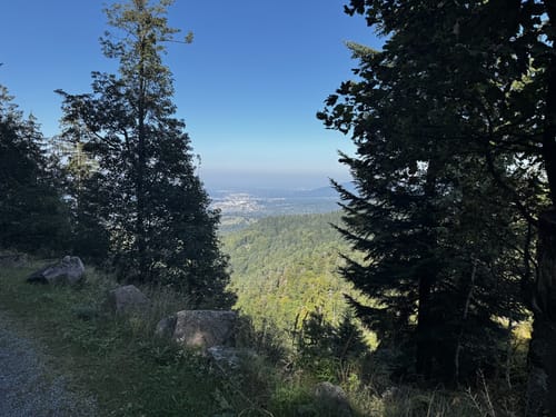 Gernsbacher Runde kurz