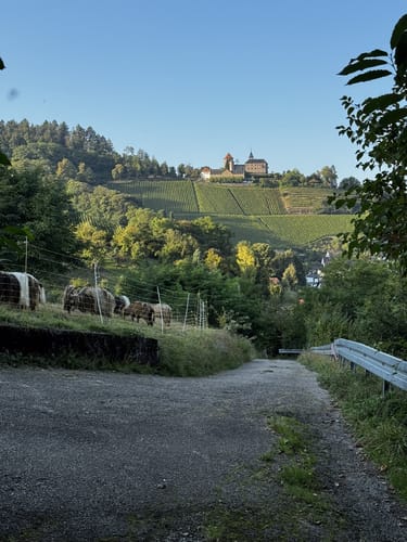 Gernsbacher Runde kurz
