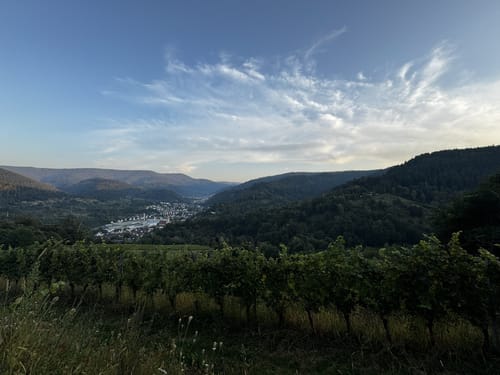 Gernsbacher Runde kurz