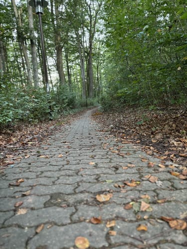 Vogelweh Rundweg