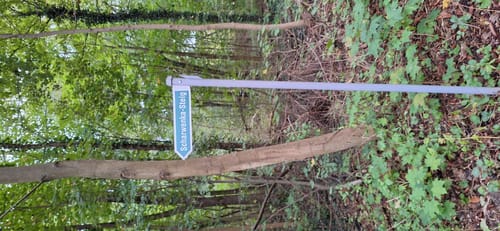 Bad Saarow: Kurpark - See - Fontane-Literaturpark
