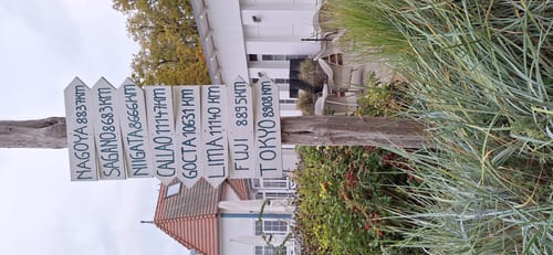 Bad Saarow: Kurpark - See - Fontane-Literaturpark