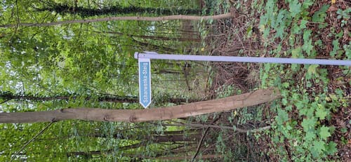 Bad Saarow: Kurpark - See - Fontane-Literaturpark