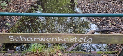 Bad Saarow: Kurpark - See - Fontane-Literaturpark