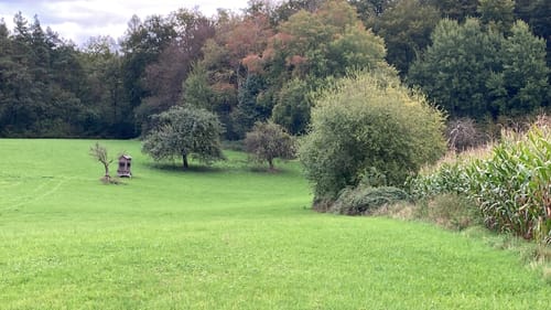 Von Altenmittlau nach Geiselbach