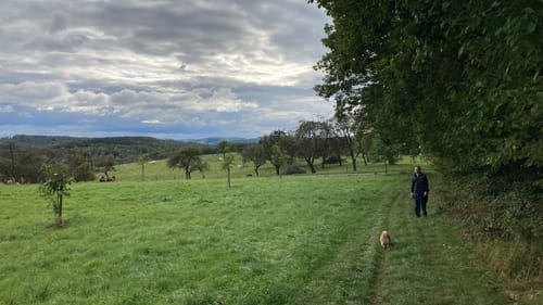 Von Altenmittlau nach Geiselbach