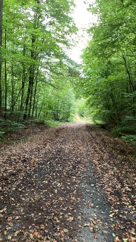 Von Altenmittlau nach Geiselbach