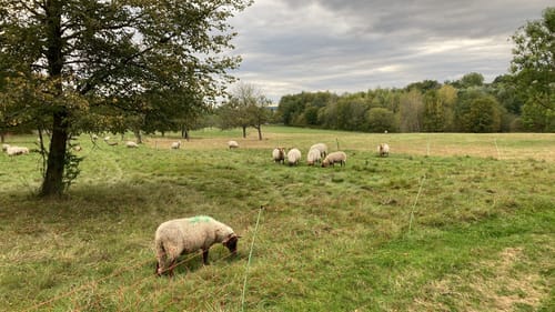 Von Altenmittlau nach Geiselbach