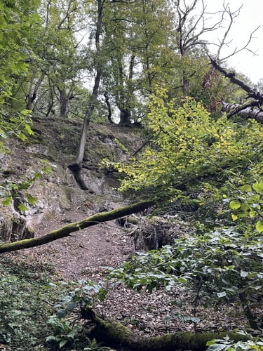 Waldbachtal Runde