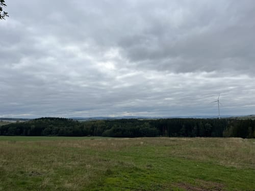 Auf Alter Bahnstrecke im Beuthaer Wald