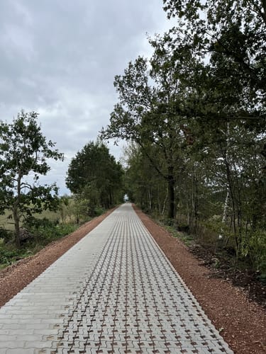 Auf Alter Bahnstrecke im Beuthaer Wald