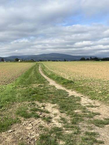 Durch das Arboretum Main-Taunus