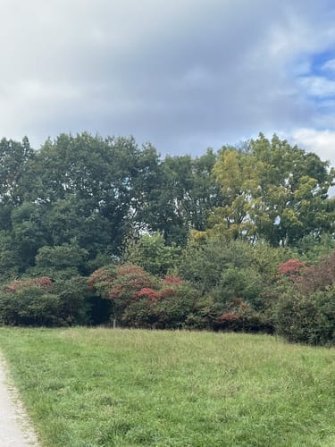 Durch das Arboretum Main-Taunus