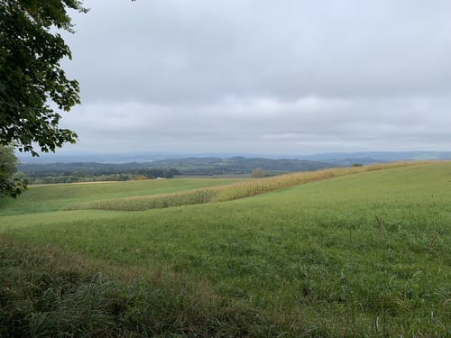 Gehrenberglauf Markdorf Wettkampfstrecke