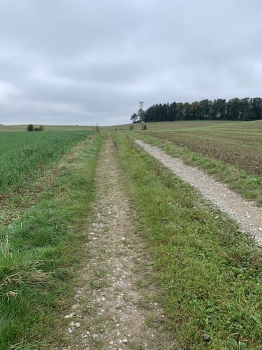 Gehrenberglauf Markdorf Wettkampfstrecke