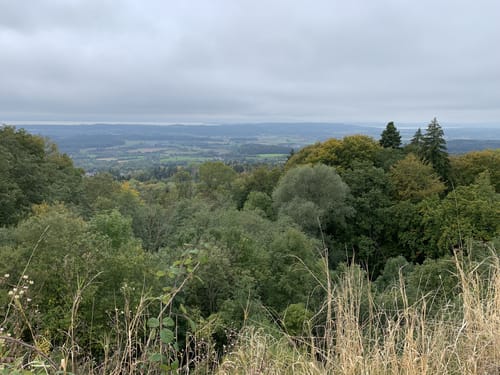 Gehrenberglauf Markdorf Wettkampfstrecke