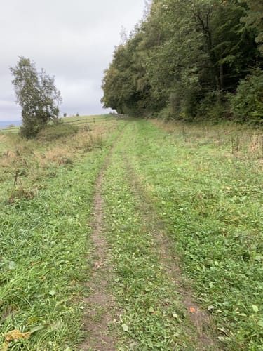 Gehrenberglauf Markdorf Wettkampfstrecke
