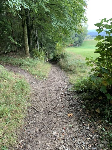 Gehrenberglauf Markdorf Wettkampfstrecke