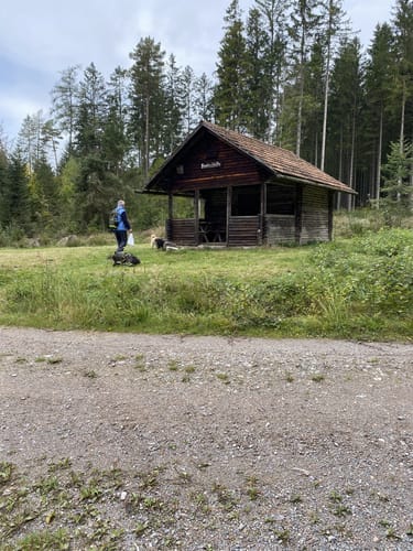 Trestenbachweiher Runde