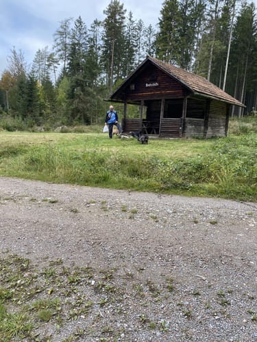 Trestenbachweiher Runde